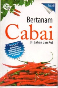 Image of Bertanam Cabai di Lahan Pot