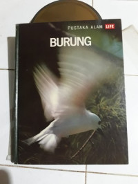 Image of Burung