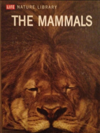 Image of The Mammals : Life Nature Library