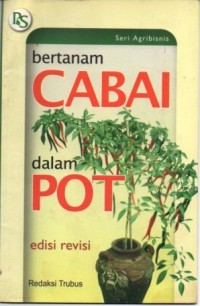 Image of Bertanam Cabai dalam POT
